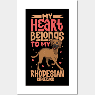 My heart belongs to my Rhodesian Ridgeback Posters and Art